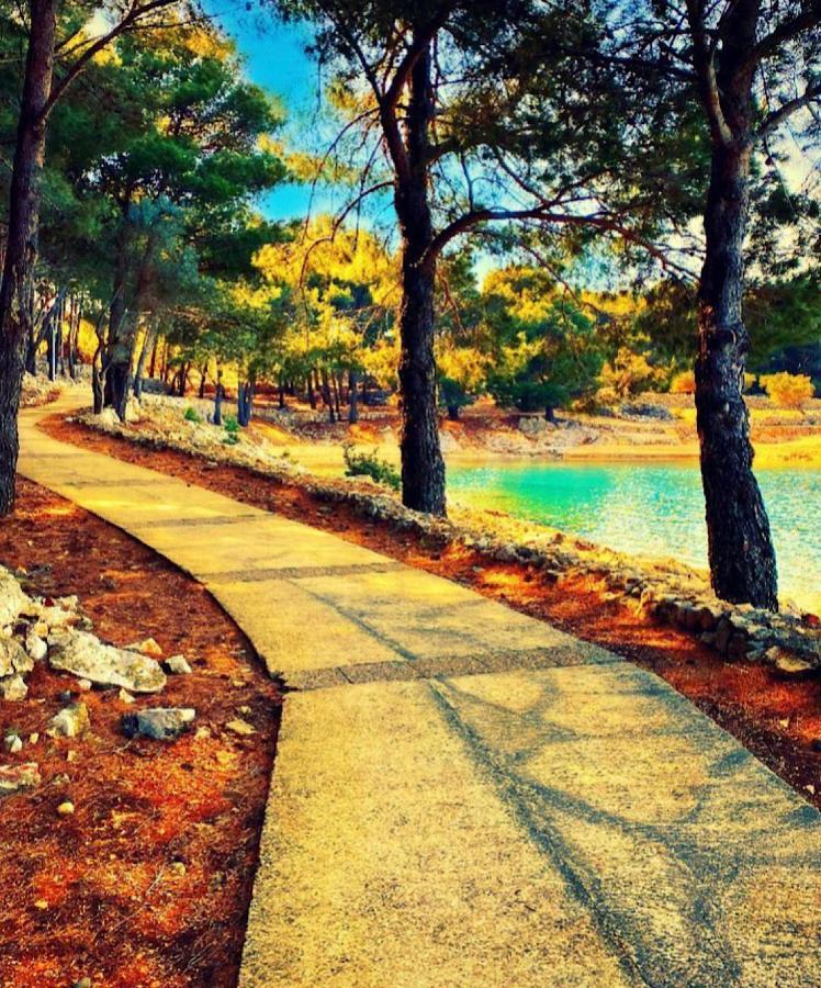 Brdanovic Cres